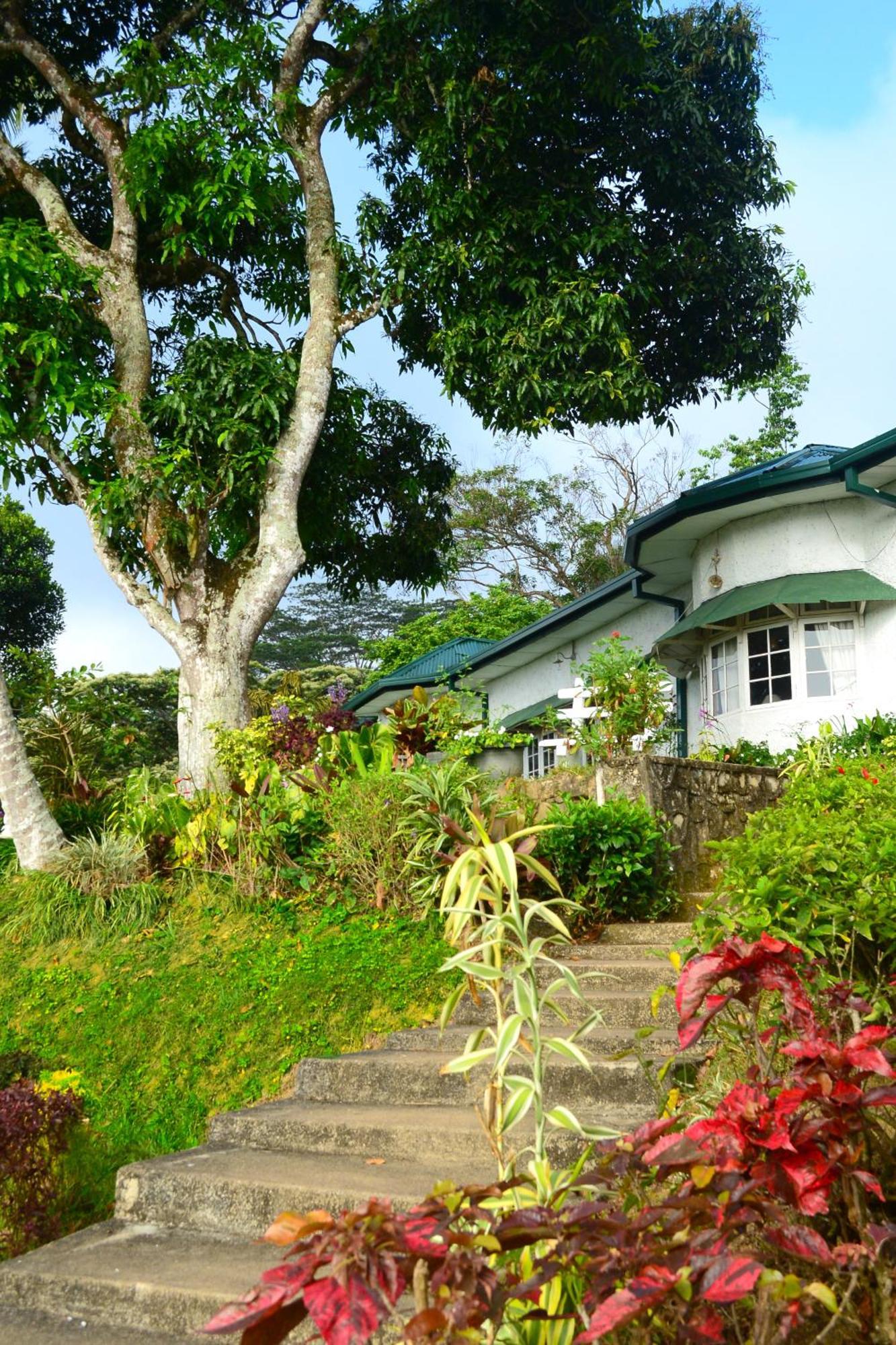 Hatale Tea Estate Bungalow Madulkele Екстериор снимка